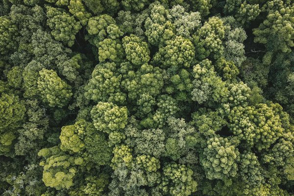 Guide ultime pour une vie zéro déchet