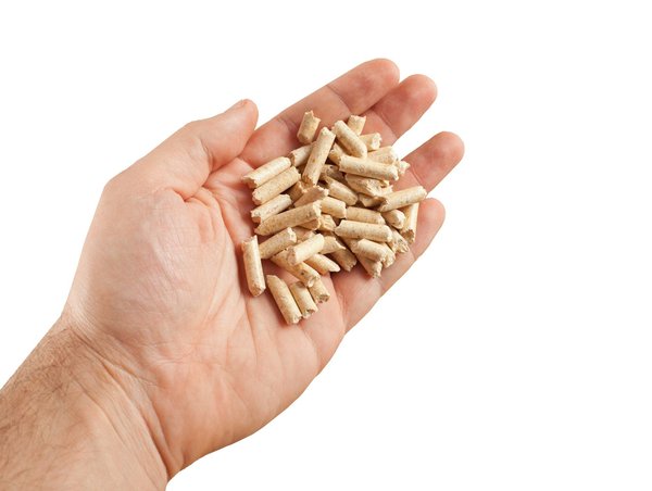 Pellets combustibles : la solution écologique et économique de demain